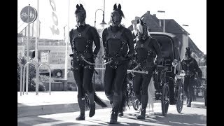 training ponygirl from submissann