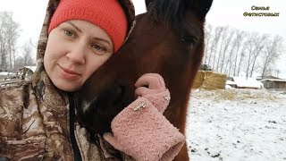 Много животных. Рецепт от Саши/ Семья Фетистовых