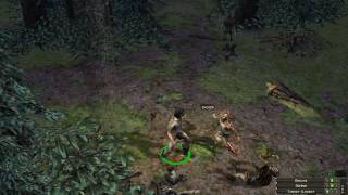 Blind Runs: Dungeon Siege (Part 1)