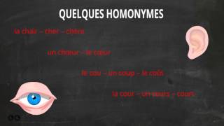 V5 - Les homonymes