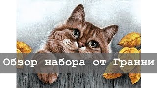 Алмазная вышивка от Гранни | Распаковка, обзор, отзыв