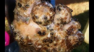 Jackton jigger efforts Dec 2017 (3 of 6)