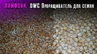 ЛайфХак !  DWC Проращиватель для семян .