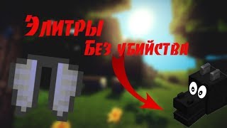 Как добыть элитры без убийства дракона. Minecraft