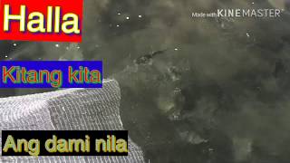 Kahit sa mababaw ang dami pring isda (taiwan river)