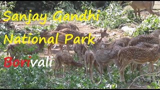 National Park Mumbai Borivali -  बोरिवली  संजय गांधी राष्ट्रीय उद्यान