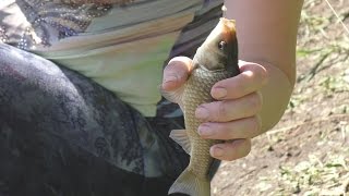 Рыбалка. Ловля карася на поплавочную удочку.My fishing.