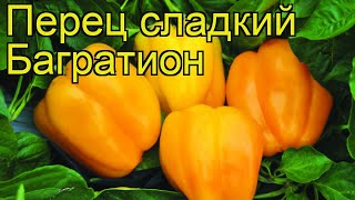 Перец сладкий Багратион. Краткий обзор, описание характеристик, где купить саженцы Bagration