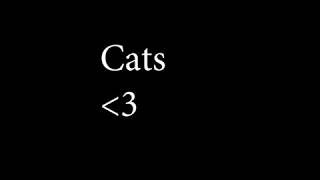 Sad cat montage