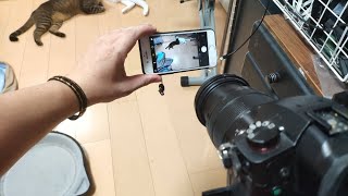 猫部屋配信 後半にダンス撮影の質問少しあったので対応