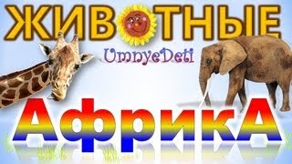 Развивающие мультфильмы для детей. Животные. Африка. Развивающее видео для малышей