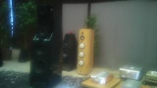 FM ACOUSTICS FM255MKⅡR FM711MKⅢ WILSON ALEX ⑧