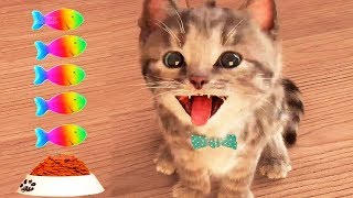 Little Kitten My Favorite Cat Pet Care Game - Fun Play Kitten Mini Games For Children