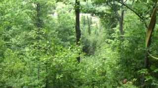 Zipline in Boyne City Mi