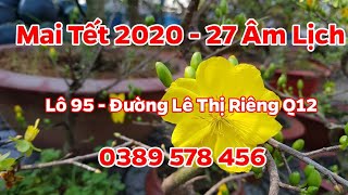 Mai Tết 2020 - Lô 95 Đường Lê Thị Riêng Q12- 0389 578 456