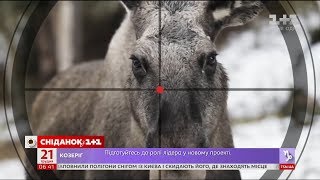 Лося європейського внесли до Червоної книги України