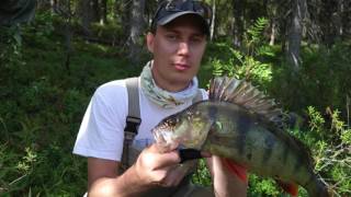 Нахлыст & Тенкара Fly fishing &Tenkara Карелия 2016