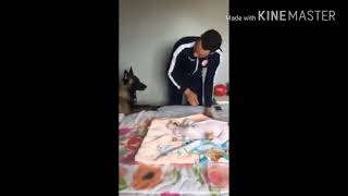 Невероятно!  Собака ? защищает ребенка!  Смотреть всем!