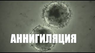 КИНО "АННИГИЛЯЦИЯ" - ИНОПЛАНЕТНОЕ СВИДАНИЕ