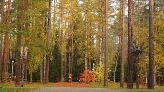 Отдых в Ленинградской области | Золотая осень | Отель Raivola | Райвола