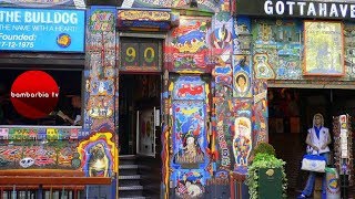 Что попробовать и посмотреть в Голландии? Кофешопы и музеи