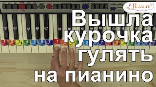 Вышла курочка гулять на пианино