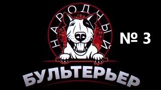 СРОЧНО: "отжимают" городскую землю в Черновцах / Народный бультерьер с Андреем Гожым №3