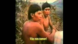 A Casa e a Floresta 2