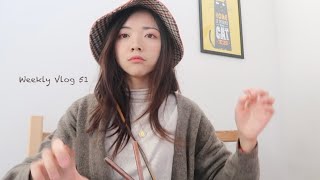 Weekly Vlog 51 带越南同事吃湘菜｜秋天来了去看秋叶吧?海外是怎样欢度国庆的??