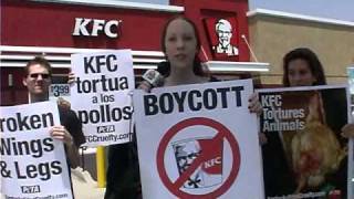 KFC allows the Torture of Chickens for the Greed of Money - Killing for Cash
