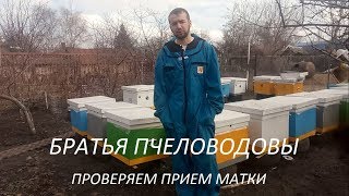 Проверяем прием матки ранней весной