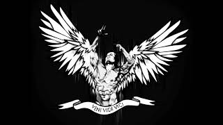 Zyzz Playlist Eletronica