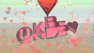 KBS DMB HEART (2010)