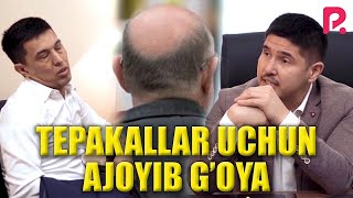 Dizayn jamoasi - Tepakallar uchun ajoyib g'oya