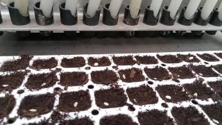 Сеялка для помидор-Seeder for tomato Nr2