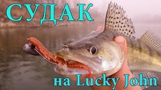 Ловля судака на джиг. Силикон Lucky John Bugsy Shad