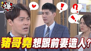 《多情大爆爆》多情城市 EP293 豬哥堯 想跟前妻造人？