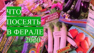 НЕ ЗАБУДЬТЕ ПОСЕЯТЬ ЭТО В ФЕВРАЛЕ! ЧТО ПОСЕЯТЬ В ФЕВРАЛЕ. 2020.