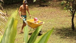 Luna In Costa Rica at 1 Year Old
