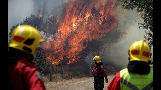 Los incendios forestales que afectan a Chile