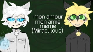 m o n • a m o u r • m o n • a m i e[meme animation]{Chat Blanc/Noir Miraculous}