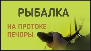 таёжные реки с братьями Приходько