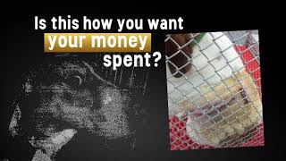 White Coat Waste Project TV ad exposes dog abuse at Richmond VA lab