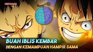 10 Buah Iblis Dengan Kemampuan Kembar di One Piece