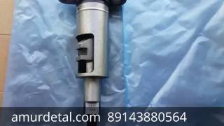 Плунжерная пара Man 2 418 425 989 - CHJ