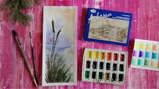 Камыши (скетч акварелью)