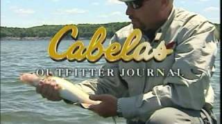 Rick Gardner Walleye Fishing Bull Shoals