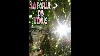CAPRICORNIO ♑ NOVIEMBRE⚡2019  ☀? LA FORJA DE VENUS ?☀