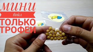 Мини бойлы на резинке Fish Dream 5мм,9мм гороховые красные,желтые