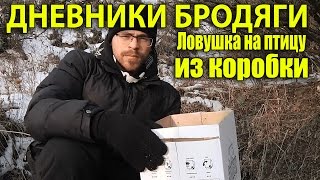 Прикол: как поймать птицу коробкой? / Ловушка из коробки на птицу